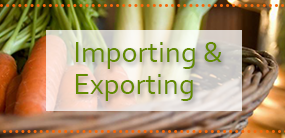 Importing & Exporting Icon - Organic Food